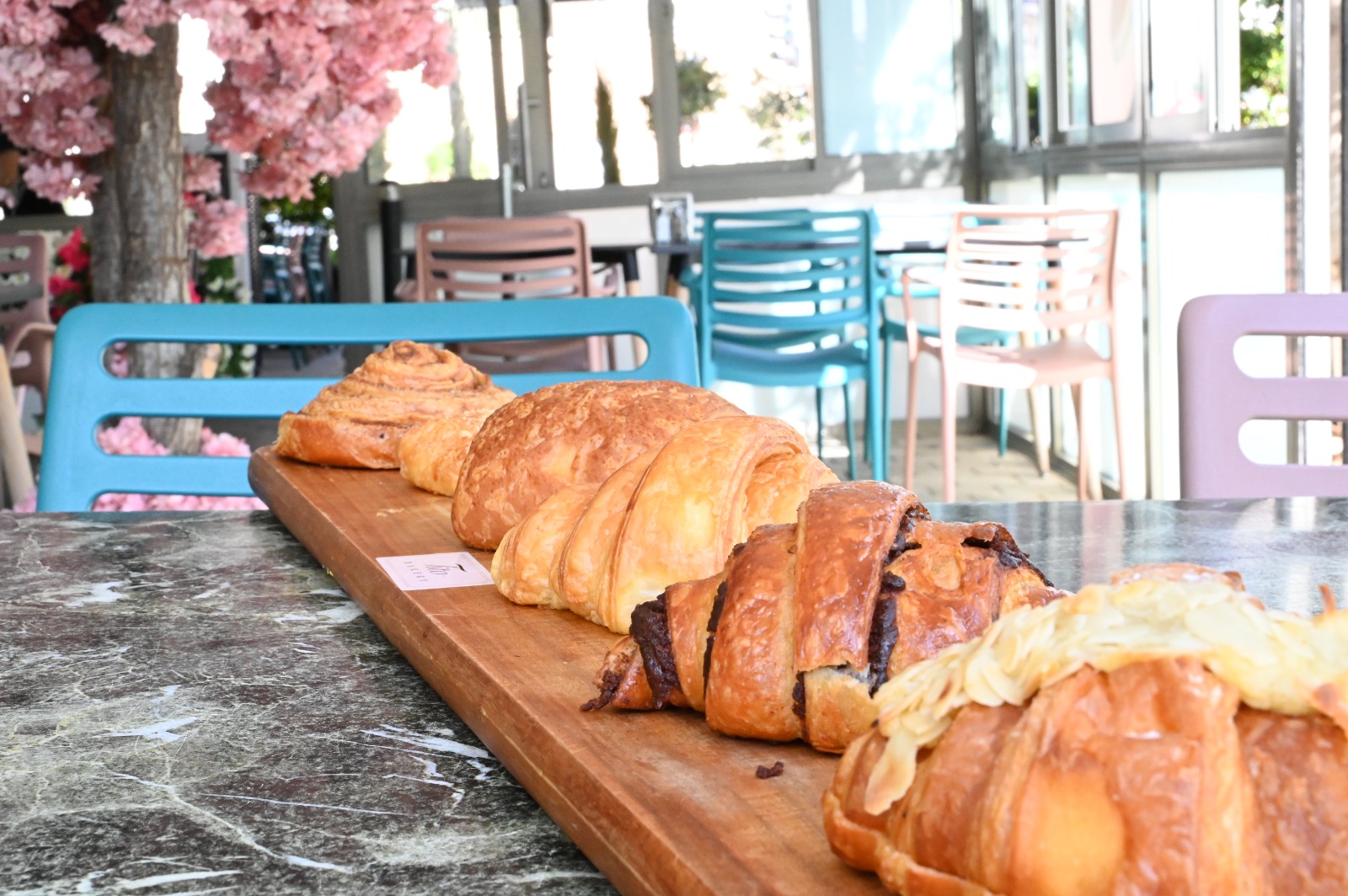 WhatsApp Image 2022-10-19 at 2.04.04 PM.jpeg